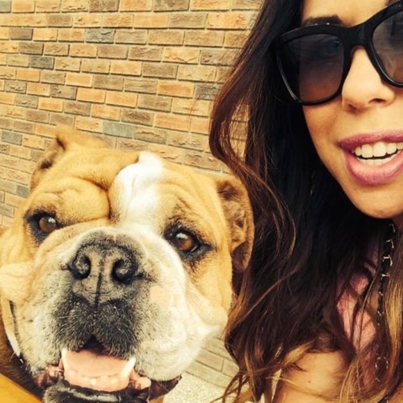 Meet your Posher, Terra - Picture 1 of 1